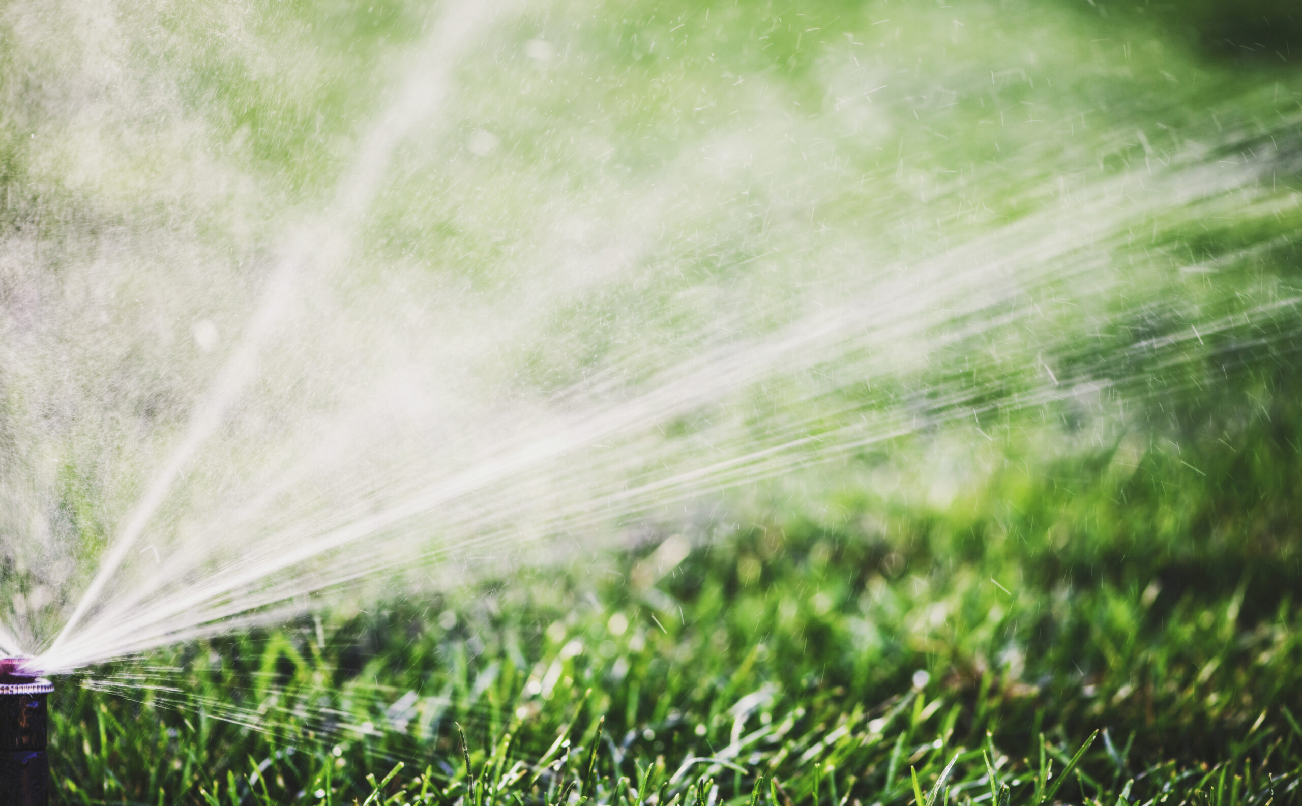 A Green Grass Lawn Being Watered by an Automatic Sprinkler System