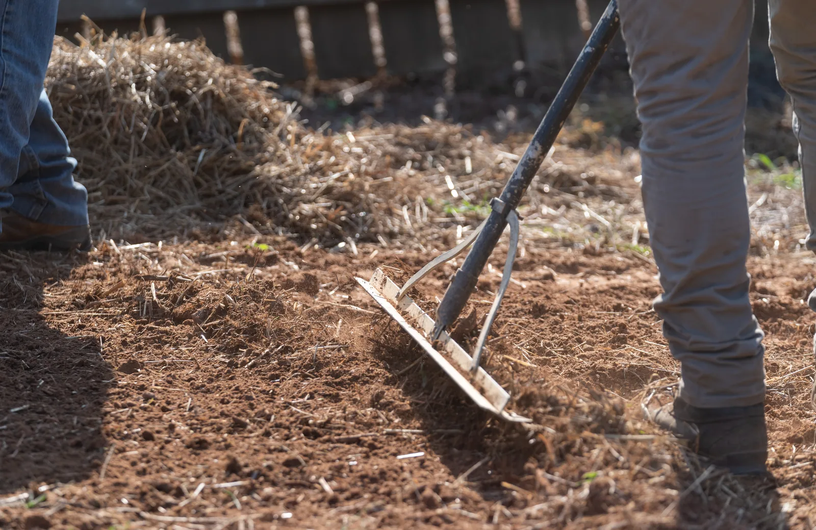 Crew raking and spreading soil