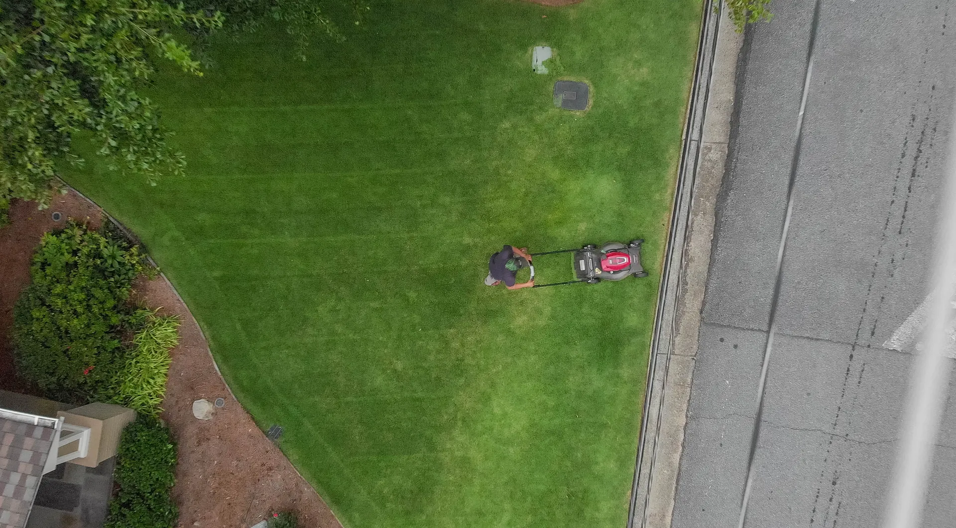 Striped lawn