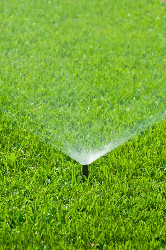 Sprinklers on lawn